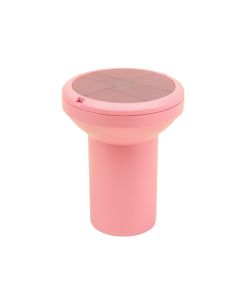 Pink Solar Powered Pathway Light (synthetic illustration; no displayed measurements)