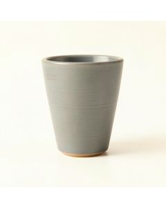 Fern Dale Ceramic Mug - Gray (synthetic illustration; no displayed measurements)