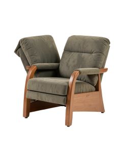 Argante 34.6 '' Wide Power Lift Assist Standard Recliner (synthetic illustration; no displayed measurements)