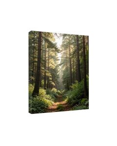 Beautiful Forest Morning Panorama - Wrapped Canvas Photographic Print
