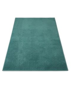 Haupt Vine And Border Textured Weave Teal Indoor/Outdoor Area Rug (synthetic illustration; no displayed measurements)