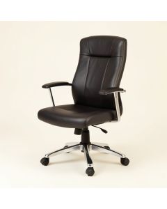 Shapleigh Ergonomic Office Chair (synthetic illustration; no displayed measurements)