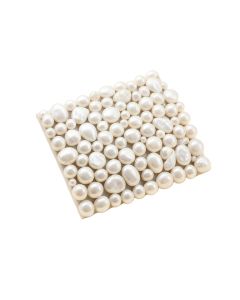 Lokahi 0.39 '' X 0.79 '' Seashell Random Mosaic Wall & Floor Tile