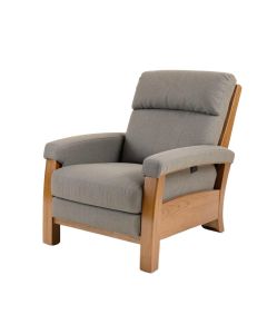 Lippa 32 '' Wide Power Lift Assist Standard Recliner (synthetic illustration; no displayed measurements)