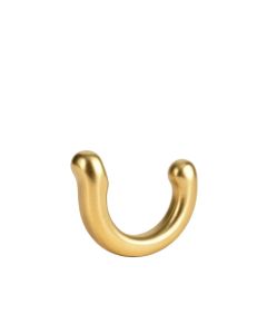 Wyoming Shower Hook In Gold