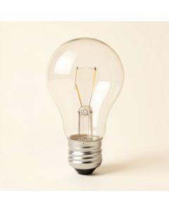 Incandescent Light Bulb (synthetic illustration; no displayed measurements)