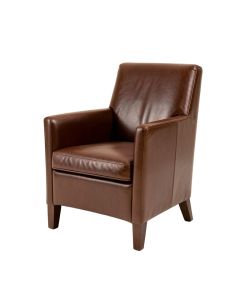 Riner Leather Upholstered Dining Chair (synthetic illustration; no displayed measurements)