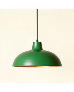 Alder Brook Pendant Light Suspended From One Plain Cable - Green (synthetic illustration; no displayed measurements)
