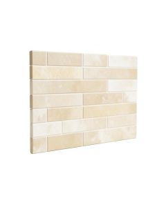2 '' X 4 '' Mosaic Subway Wall & Floor Tile