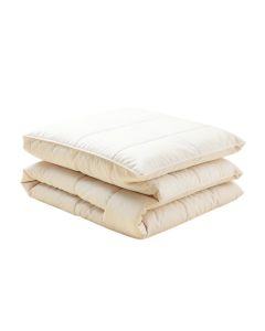 Wayfair Basics® Reversible Quilt Set (synthetic illustration; no displayed measurements)