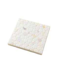 0.6 '' X 1.2 '' Seashell Mosaic Tile