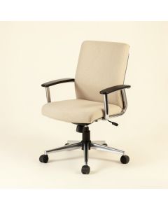 Adrianny Task Chair (synthetic illustration; no displayed measurements)