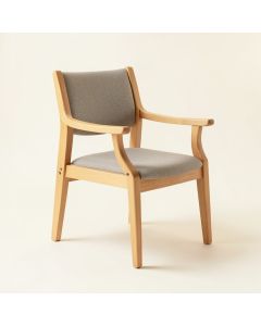 Annexe Side Chair (synthetic illustration; no displayed measurements)