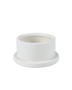 Cedar Branch Empty Candle Holder - White (synthetic illustration; no displayed measurements)