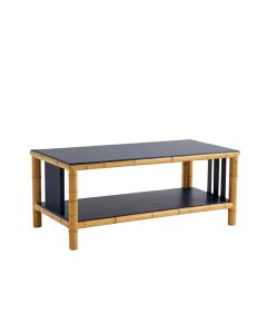 Linden Branch Coffee Table - Navy (synthetic illustration; no displayed measurements)