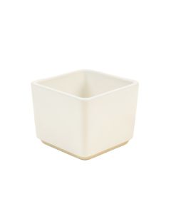Fern Bridge Empty Planter - White