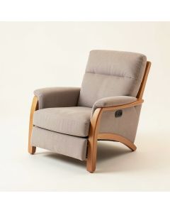 Diorio 39 '' Wide Manual Glider Standard Recliner (synthetic illustration; no displayed measurements)