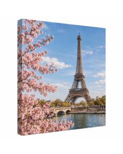 Eiffel Tower In Spring By Ariane Moshayedi Photographic Print On Wrapped Canvas