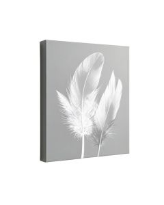 Geo Feathers Iv - Wrapped Canvas Graphic Art Print