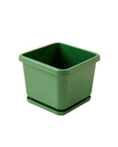 Linden Branch Empty Planter - Green