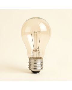 5 Watt , Incandescent Light Bulb , E12/ Candelabra Base (synthetic illustration; no displayed measurements)
