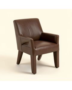 Gunhild Upholstered Side Chair (synthetic illustration; no displayed measurements)