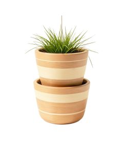 2 Tier Seagrass Hanging Planter
