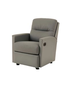 Diethelm 36.7 '' Wide Power Lift Assist Home Theater Recliner