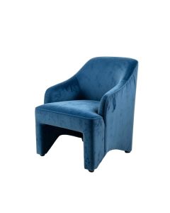 Mannion Velvet Side Chair In Blue (synthetic illustration; no displayed measurements)