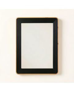 Moss Branch Framed Wall Mirror - Black (synthetic illustration; no displayed measurements)