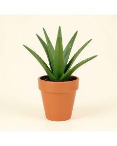 Silk Greenery Aloe Desk Top Plant In Pot (synthetic illustration; no displayed measurements)