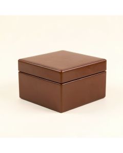 Organizer Lockable Jewelry Box (synthetic illustration; no displayed measurements)