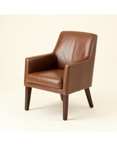 Adriel Upholstered Dining Chair (synthetic illustration; no displayed measurements)