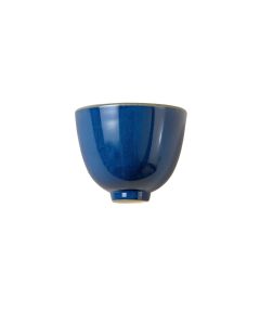 Cove Canyon Wall Sconce Mounted On A Plain Wall - Blue
