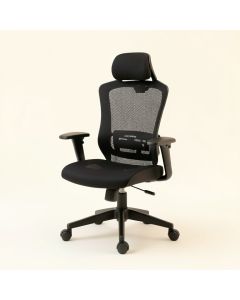 Layman High Back Ergonomic Mesh Executive Chair (synthetic illustration; no displayed measurements)