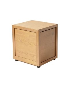 Tilden End Table With Storage (synthetic illustration; no displayed measurements)