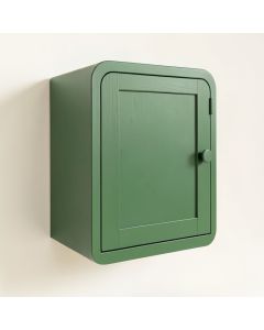 Briar Branch Wall-Mounted Laundry Cabinet - Green (synthetic illustration; no displayed measurements)