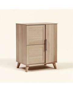 Cecile 1 Door Accent Cabinet (synthetic illustration; no displayed measurements)