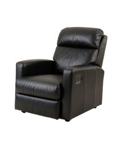 Gunveig 33.5 '' Wide Faux Leather Power Lift Assist Standard Recliner (synthetic illustration; no displayed measurements)