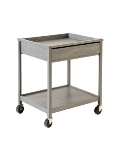 Elm Branch Empty Rolling Workshop Cart - Gray (synthetic illustration; no displayed measurements)