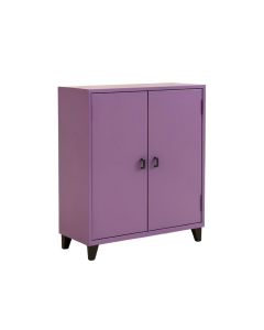 Violetta 2 Door Accent Cabinet (synthetic illustration; no displayed measurements)