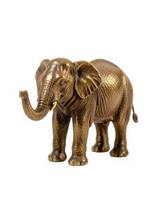 Aleppo Elephant In Frame