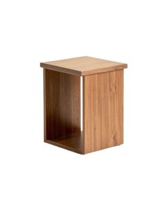 Maliyah Modern End Table (synthetic illustration; no displayed measurements)