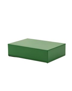Reed Bluff Desktop Monitor Riser - Green (synthetic illustration; no displayed measurements)