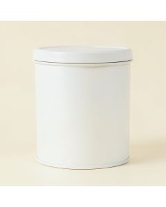 Willow Branch Storage Canister With Lid - White (synthetic illustration; no displayed measurements)