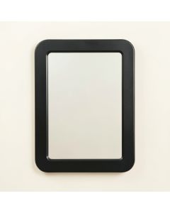 Spruce Branch Framed Wall Mirror - Black (synthetic illustration; no displayed measurements)