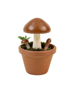 Wardlaw Mushroom Pot Fairy Garden