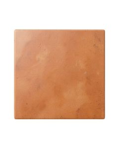 Flint Branch Uninstalled Square Decorative Tile - Terracotta