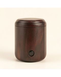 Peacock Plume Oil Warmer (synthetic illustration; no displayed measurements)