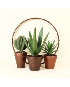 Cactus Succulent Aloe Vera Home Plants In The Pots - Farmhouse Metal Circle Wall Art (synthetic illustration; no displayed measurements)